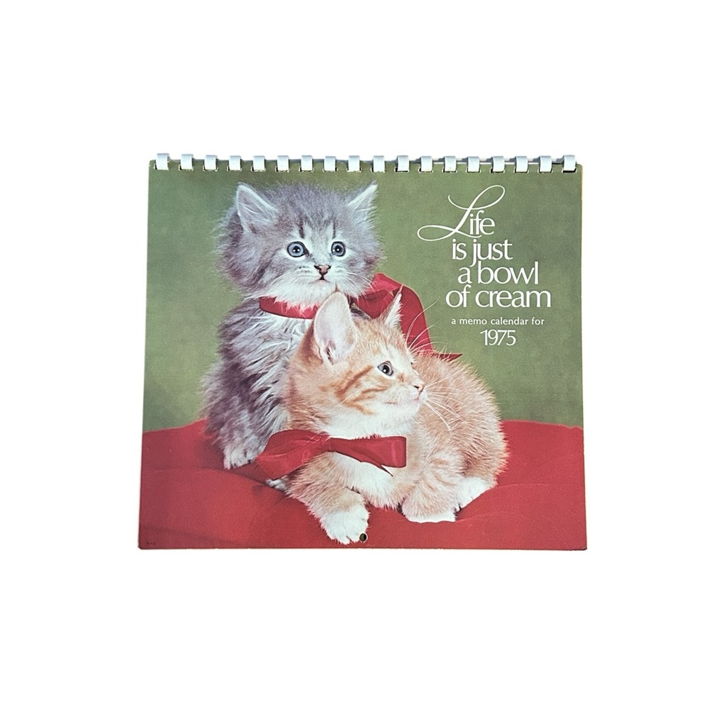 VTG 1975 American Greetings Cat Kitten Memo Calendar Colorful Photos Spiral RARE